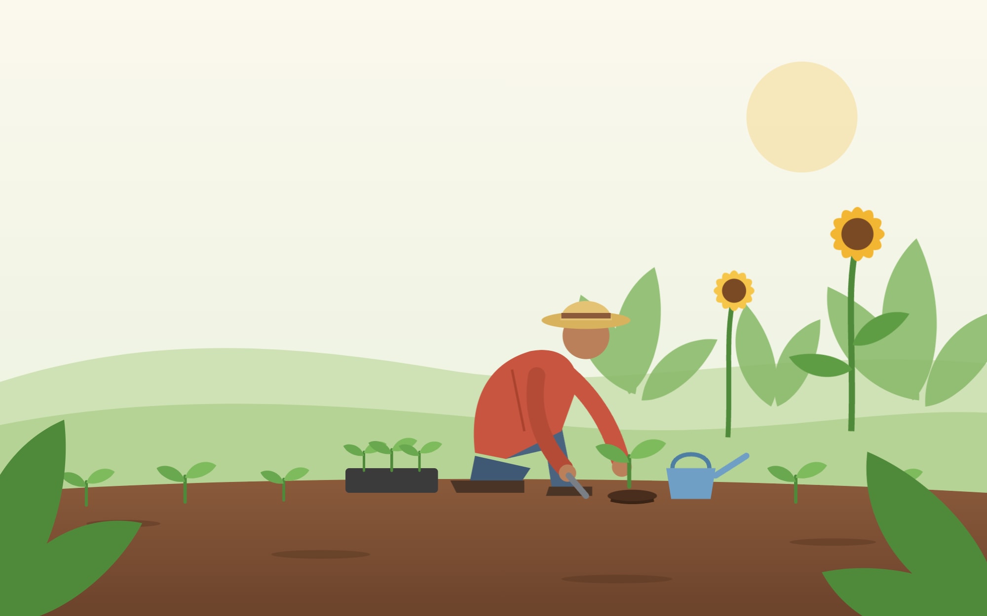 Um homem plantando uma muda, com plantas ao fundo